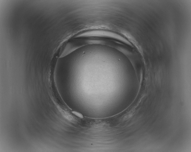 X0000068740201200604281148