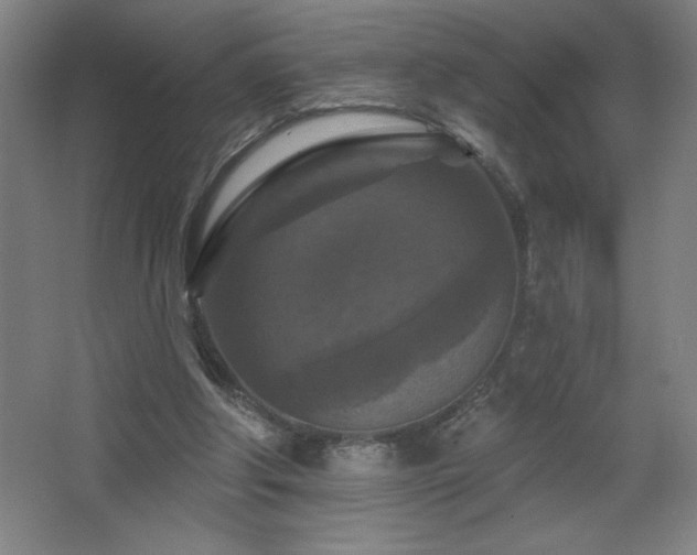 X0000068740202200604281148