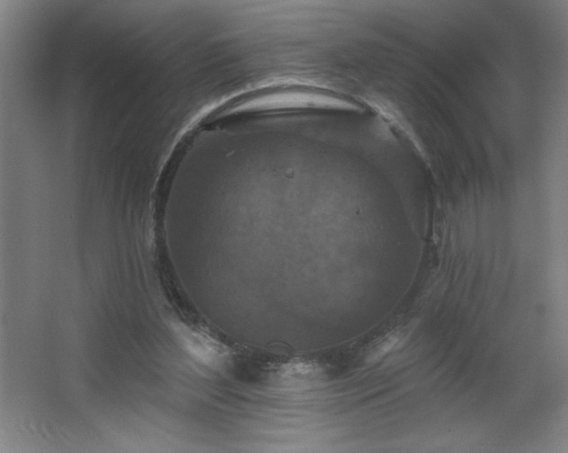 X0000068740204200604281148