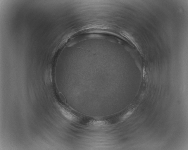 X0000068740205200604281148