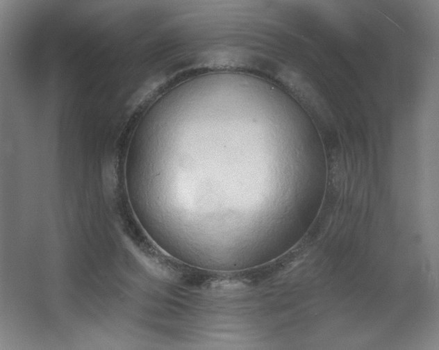 X0000068740208200604281148