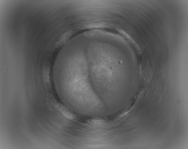 X0000068740209200604281148