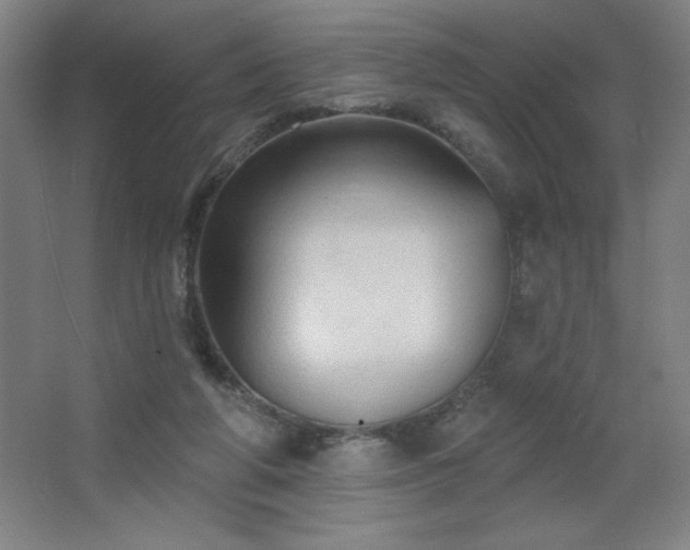 X0000068740210200604281148