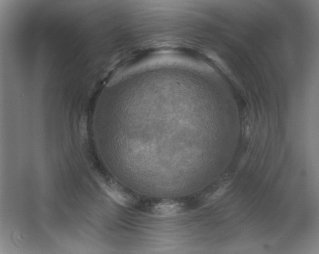 X0000068740213200604281148