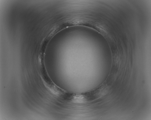 X0000068740214200604281148