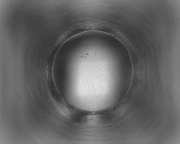 X0000068740216200604281148