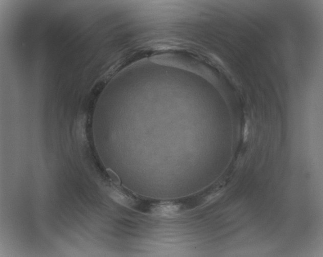 X0000068740217200604281148