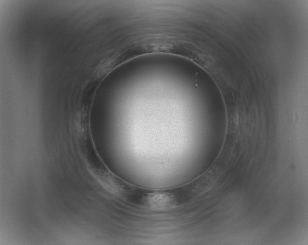 X0000068740218200604281148