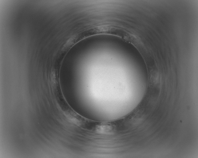 X0000068740220200604281148