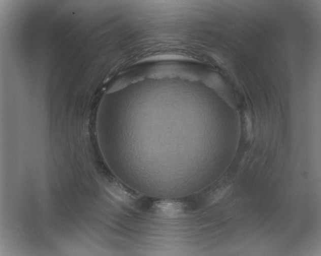 X0000068740221200604281148