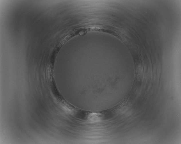 X0000068740222200604281148