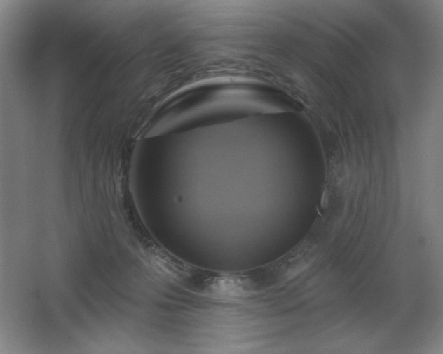 X0000068740223200604281148