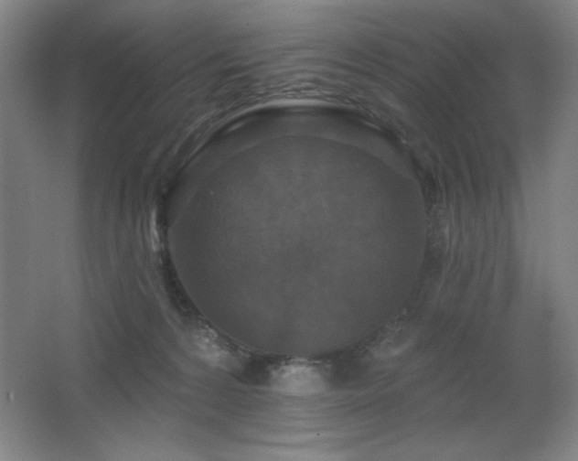 X0000068740224200604281148