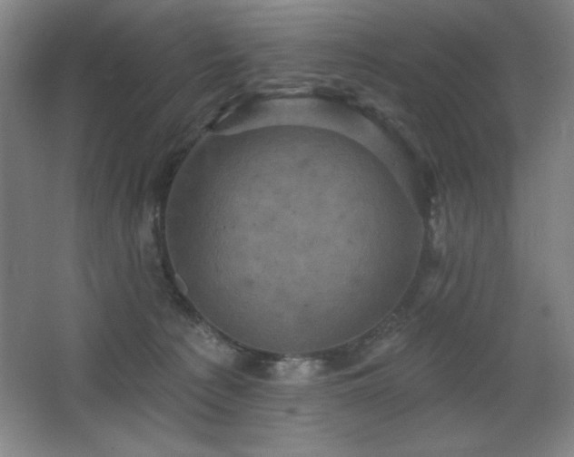 X0000068740225200604281148