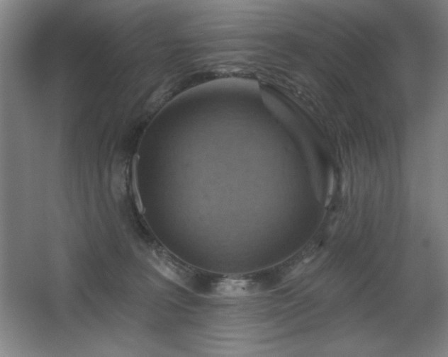 X0000068740227200604281148