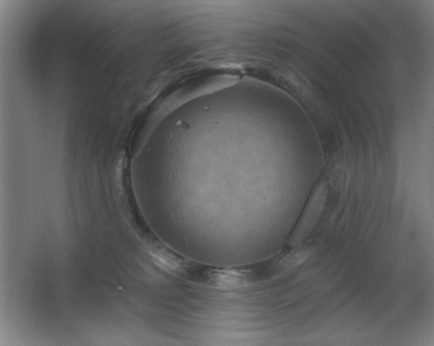 X0000068740229200604281148