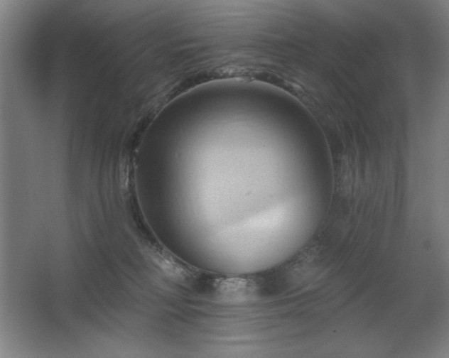 X0000068740230200604281148