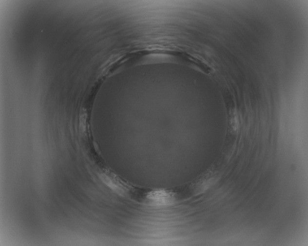 X0000068740231200604281148