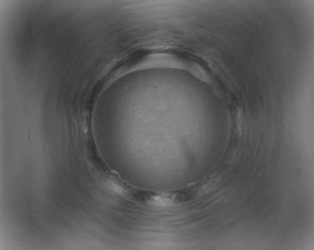 X0000068740232200604281148