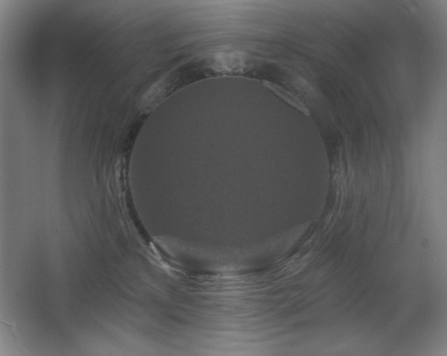 X0000068740233200604281148