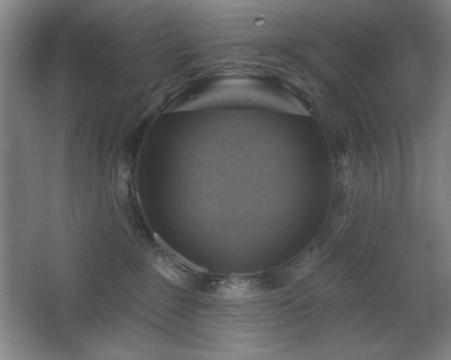 X0000068740235200604281148