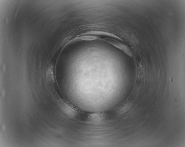 X0000068740238200604281148