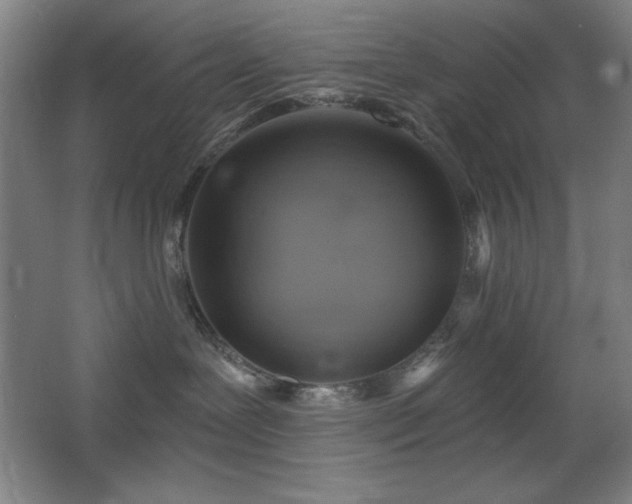 X0000068740239200604281148