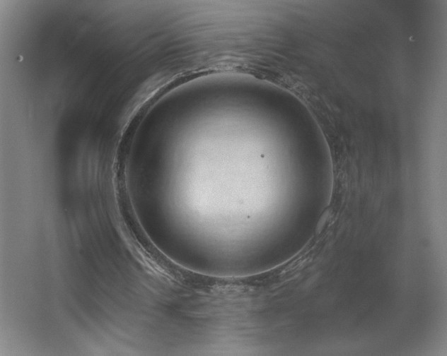 X0000068740242200604281147