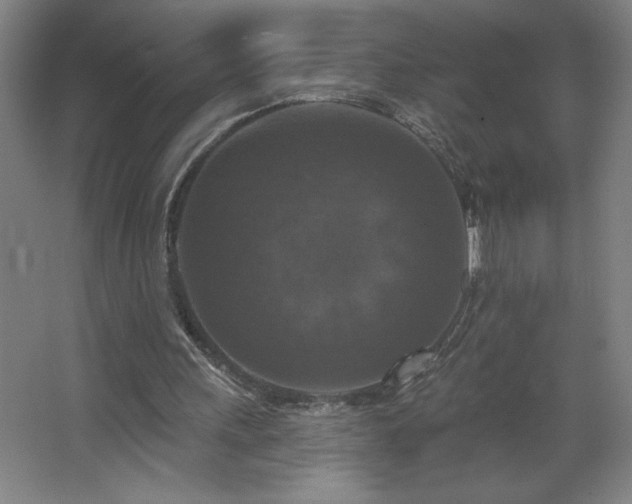 X0000068740243200604281147