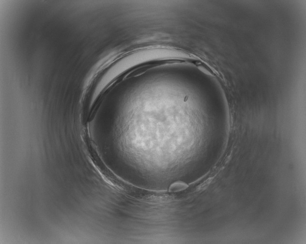 X0000068740245200604281147