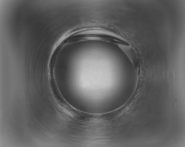 X0000068740246200604281147