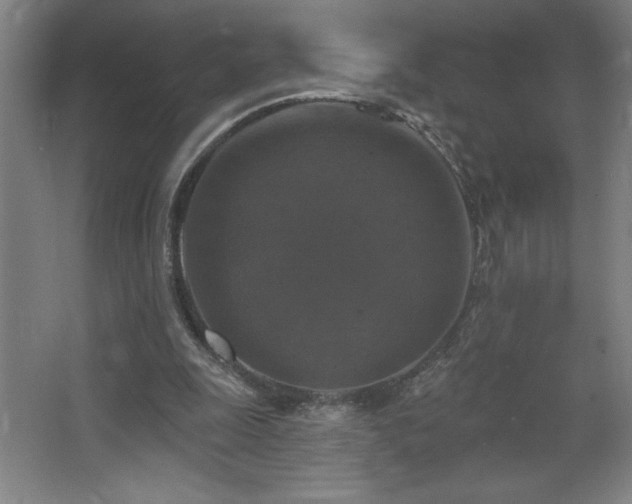 X0000068740247200604281147