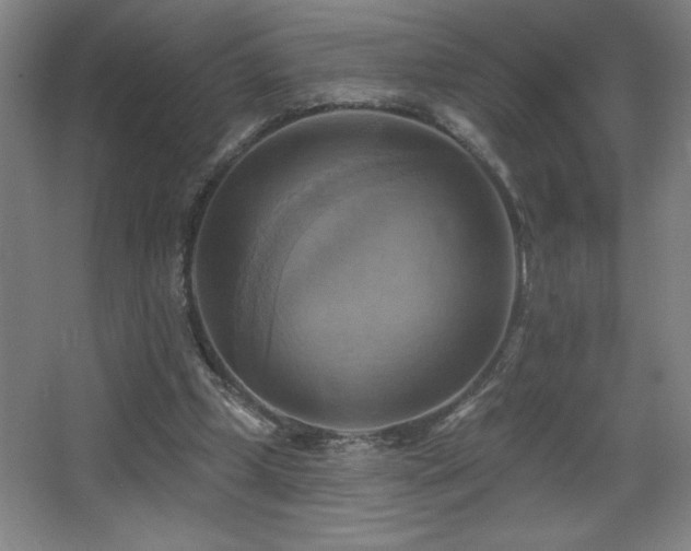 X0000068740249200604281147