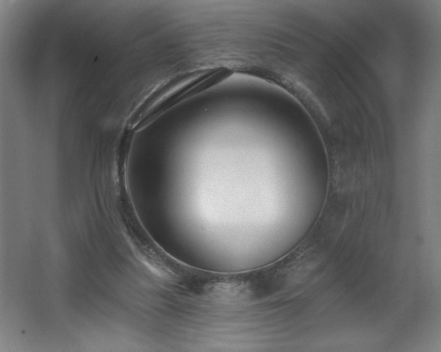 X0000068740251200604281147