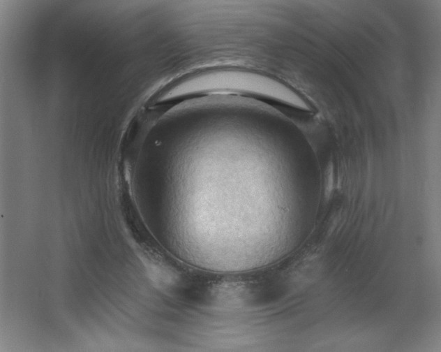 X0000068740252200604281147