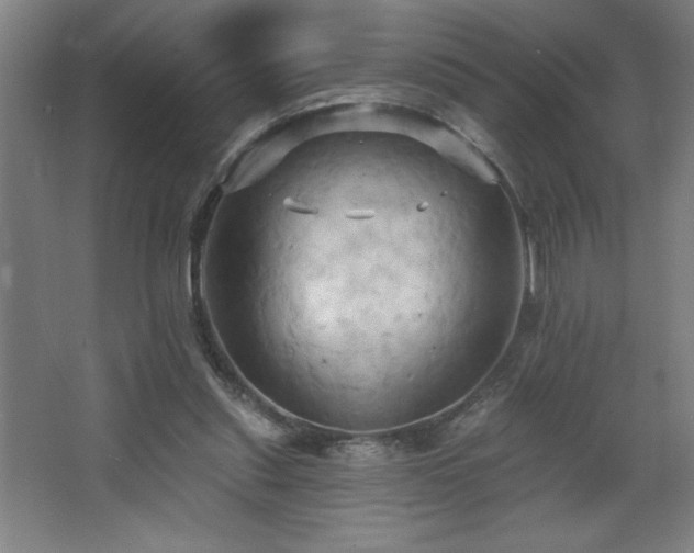 X0000068740253200604281147