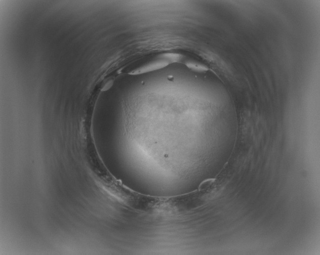 X0000068740258200604281147