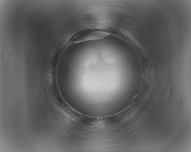 X0000068740259200604281147