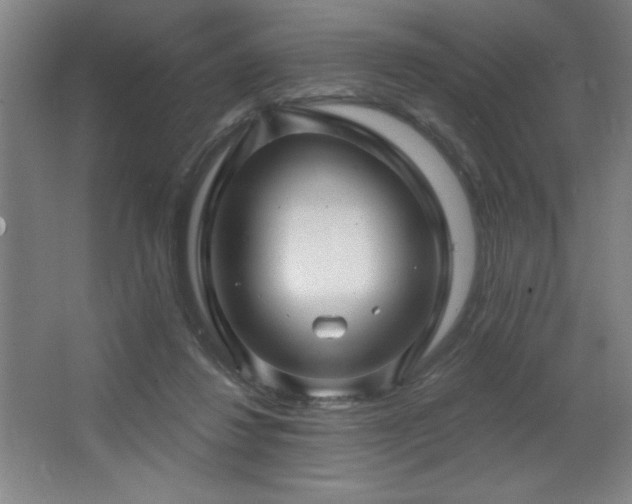 X0000068740260200604281147