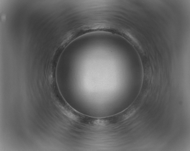 X0000068740261200604281147