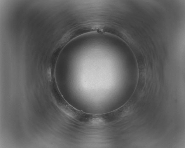 X0000068740262200604281147