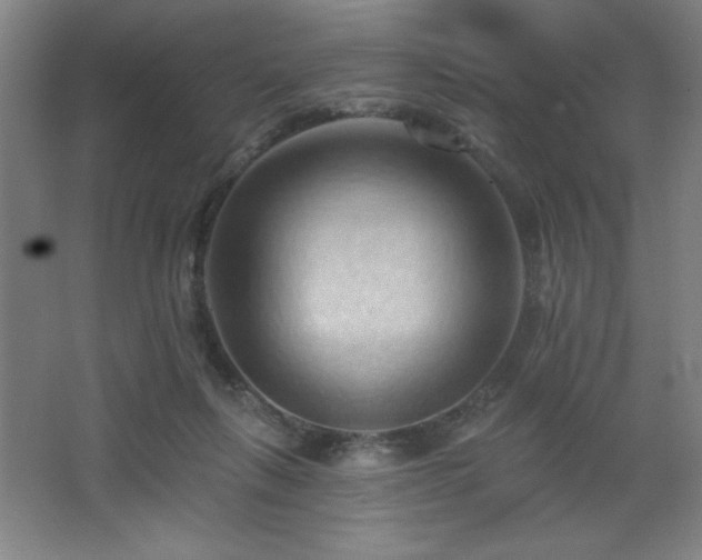 X0000068740263200604281147