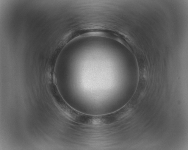 X0000068740264200604281147