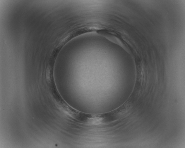 X0000068740266200604281147