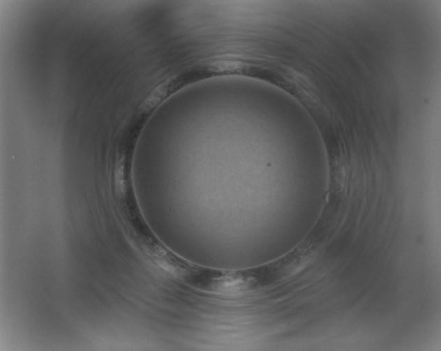 X0000068740267200604281147