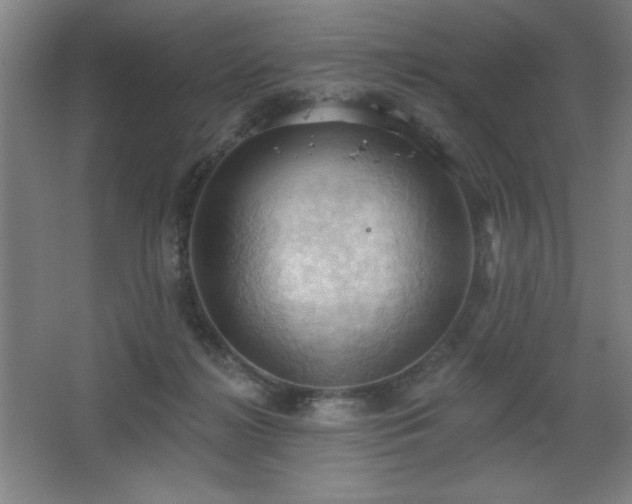 X0000068740268200604281147