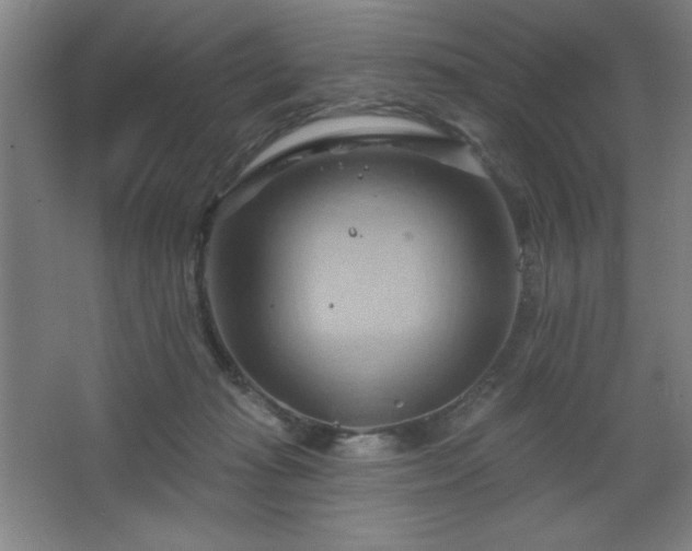 X0000068740269200604281147