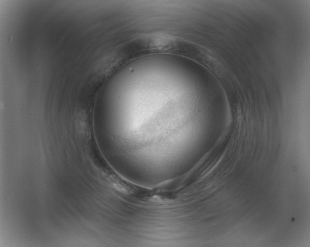 X0000068740270200604281147