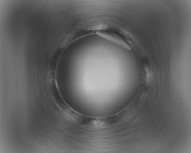 X0000068740272200604281147