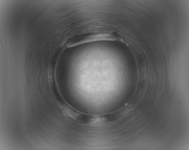 X0000068740274200604281147